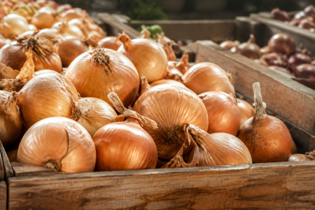 Cebula (1 kg)